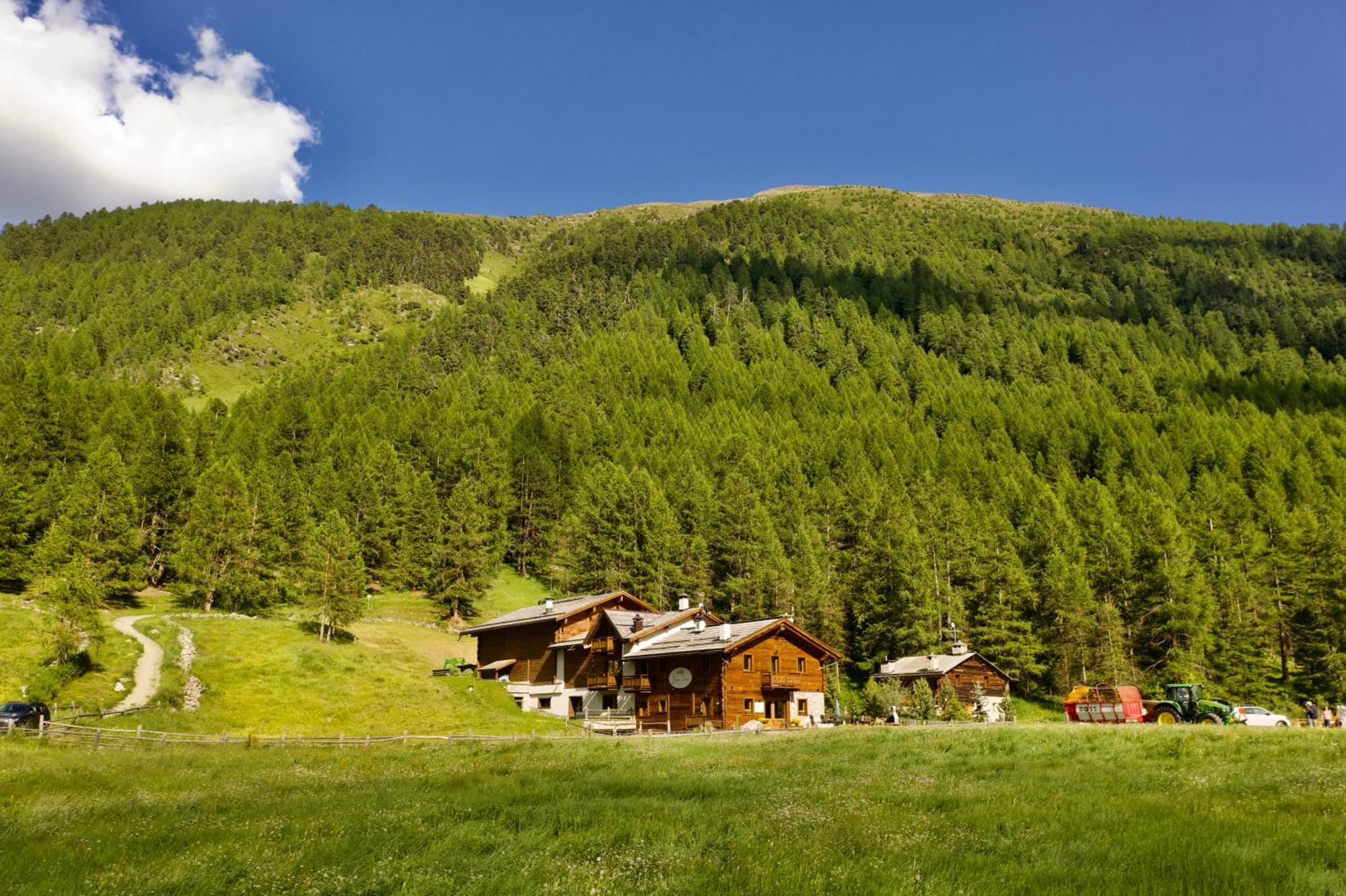 Agriturismo Bosco D'Oro Livigno Exterior photo